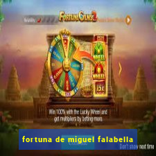 fortuna de miguel falabella